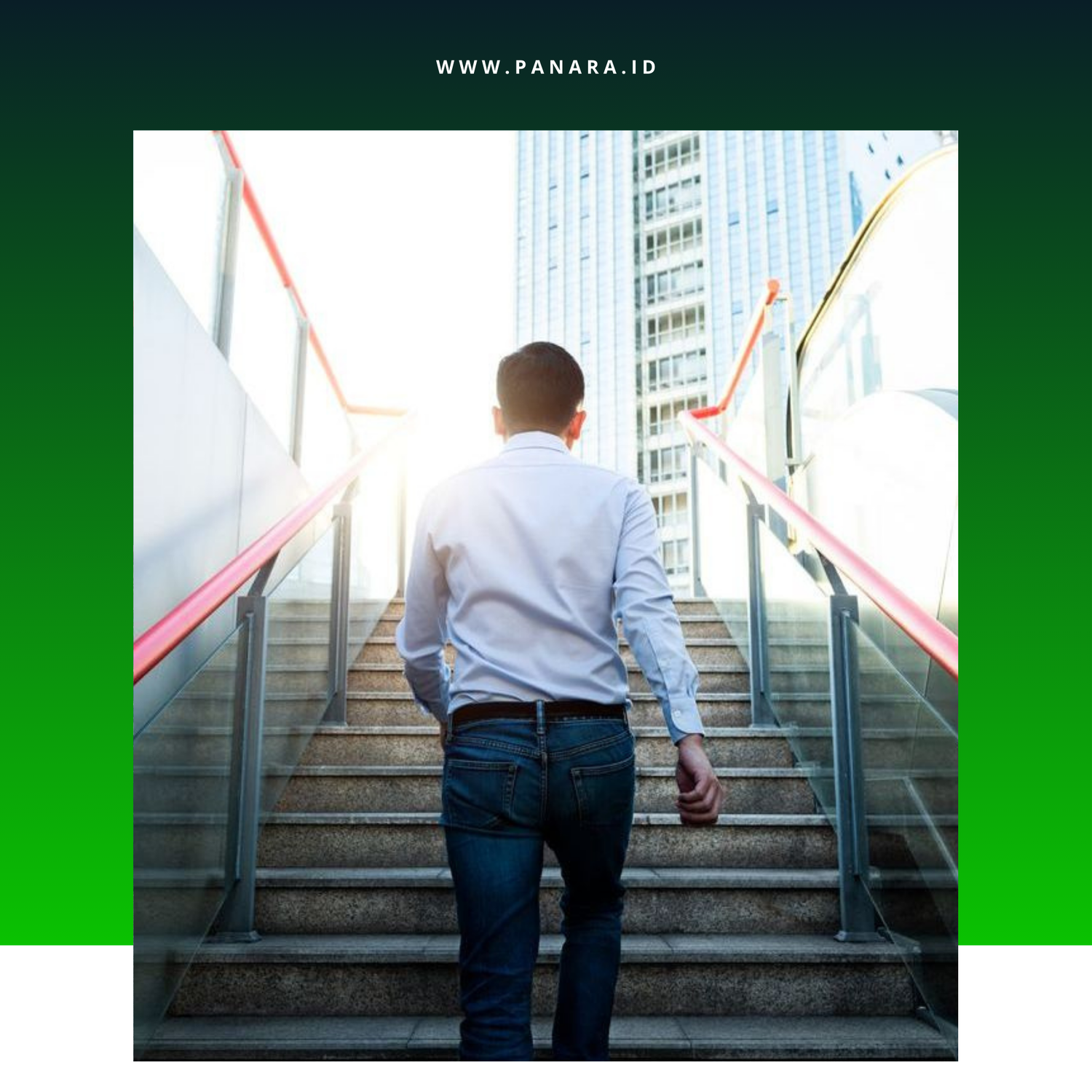 Jenjang Karir Jangka Panjang